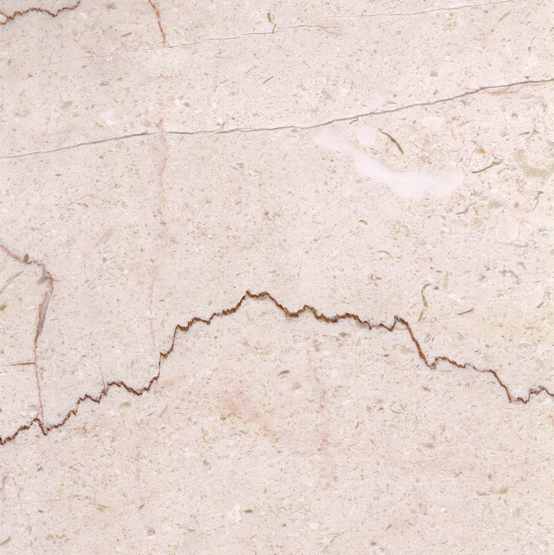 Shell beige marble