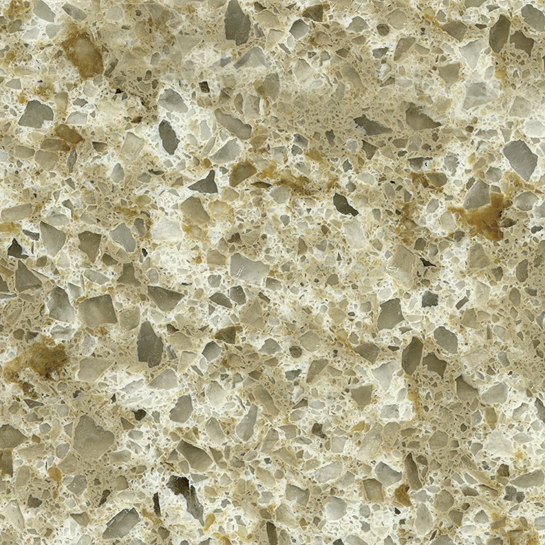 Fossil-Seashell-Quartz